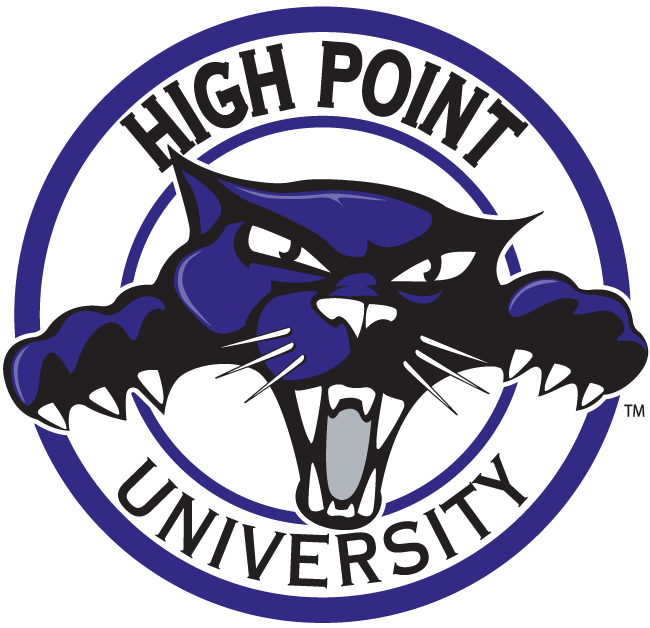 High Point Panthers 2004-2011 Alternate Logo v3 DIY iron on transfer (heat transfer)